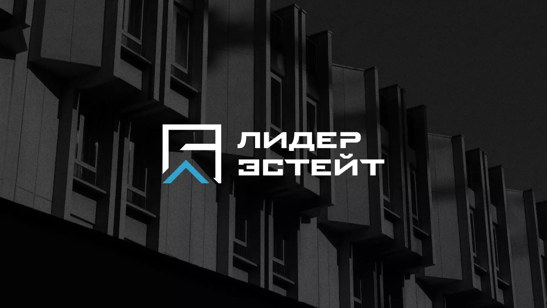 Разработка логотипа агентства недвижимости «Лидер Эстейт» в Смоленске